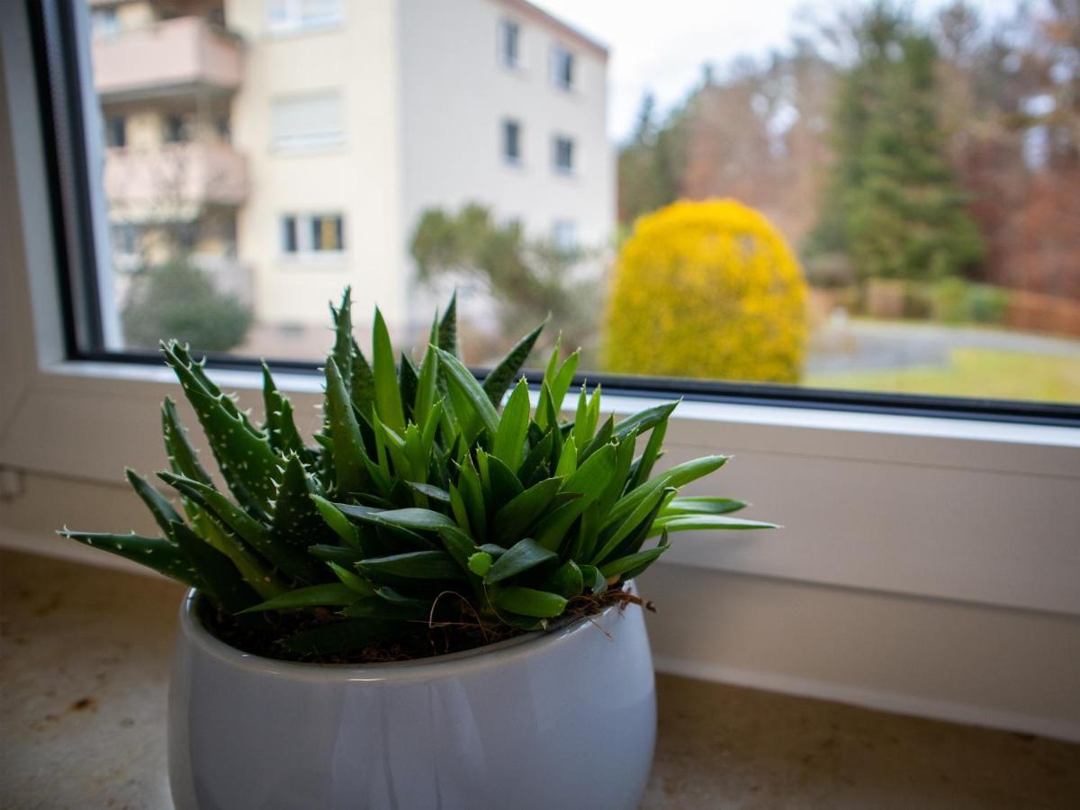 Seewaldblick - Ferienwohnung Am Bodensee Friedrichshafen Bagian luar foto